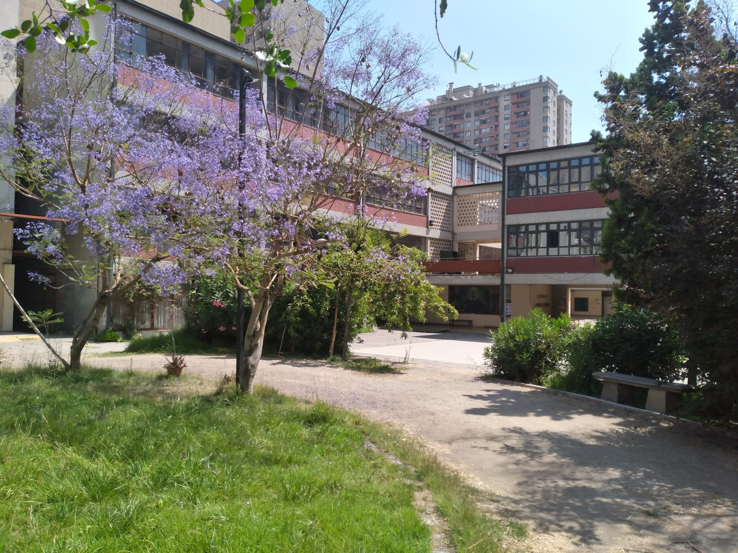 FELIZ DÍA A  LOS ASISTENTES DE LA EDUCACIÓN Y DOCENTES: La comunidad los abraza y los celebra