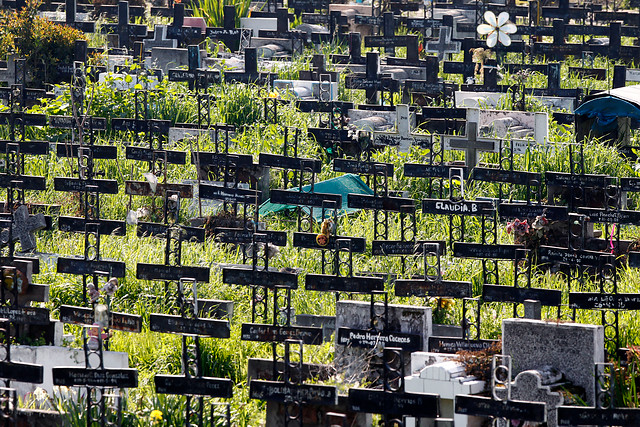 L1 en conmemoración oficial del día de las víctimas de desaparición forzada